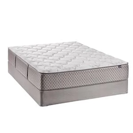 Queen Plush Mattress